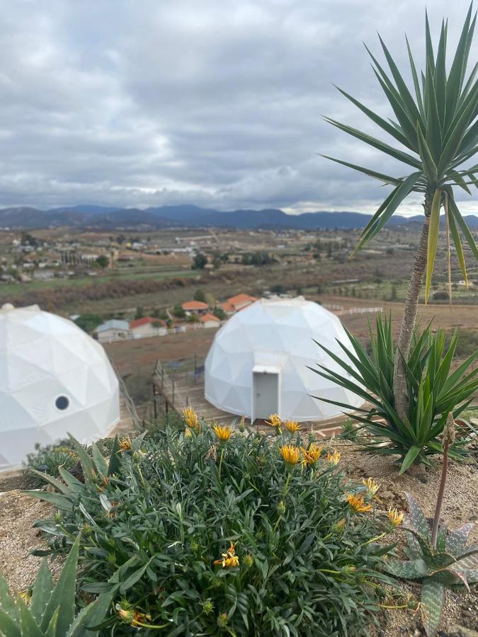 Domoss Valle 瓜达鲁佩镇 外观 照片